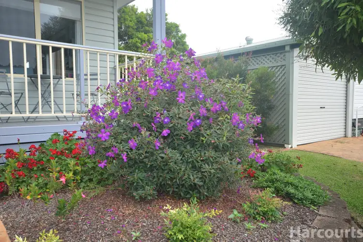 Second view of Homely retirement listing, 24/1 Greenmeadows Drive, Port Macquarie NSW 2444