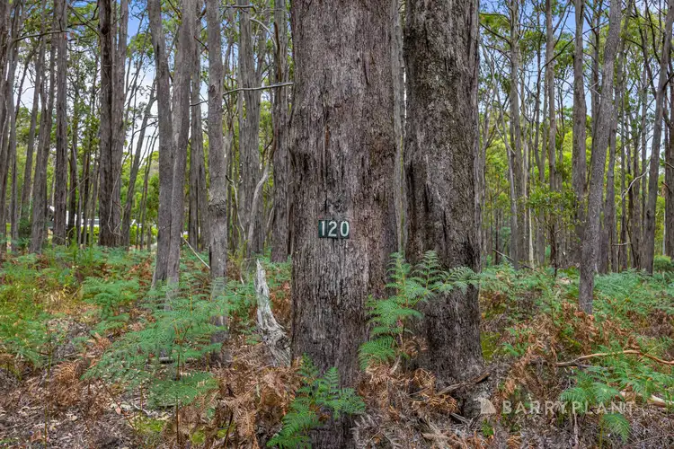 Third view of Homely land listing, 120 Lightwood Drive, Wheatsheaf VIC 3461