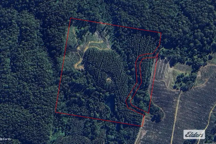Main view of Homely rural property listing, Pinebrae Road, Preolenna TAS 7325