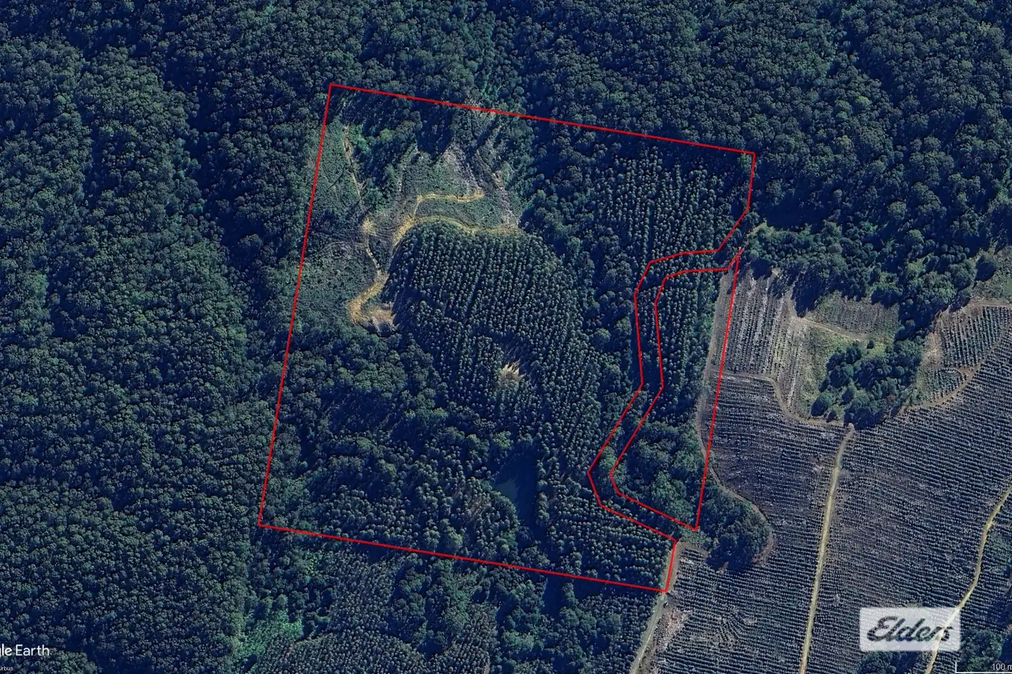 Main view of Homely rural property listing, Pinebrae Road, Preolenna TAS 7325