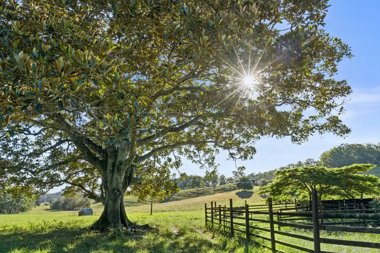 Second view of Homely rural property listing, 1199 Reserve Creek Road, Reserve Creek NSW 2484