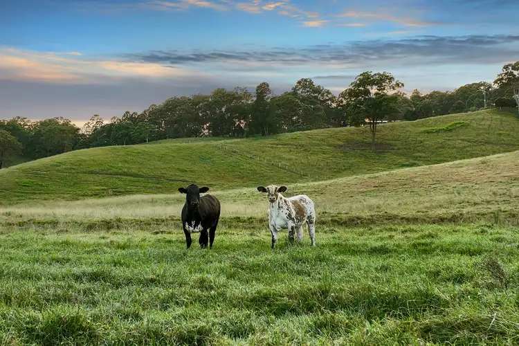 Third view of Homely rural property listing, 1199 Reserve Creek Road, Reserve Creek NSW 2484