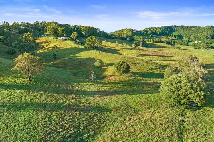 Fourth view of Homely rural property listing, 1199 Reserve Creek Road, Reserve Creek NSW 2484