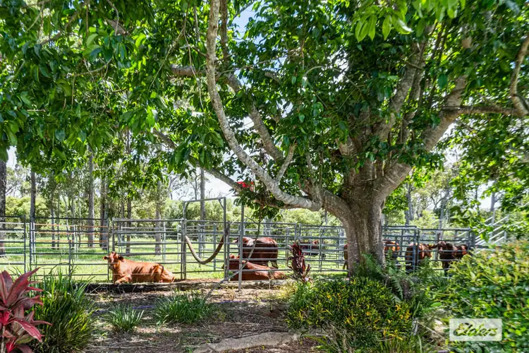 111 Prestons Road, Adelaide Park QLD 4703