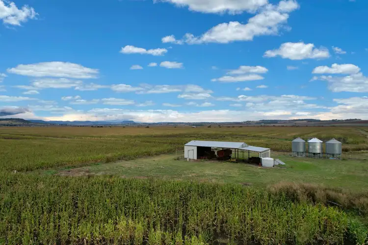 Fourth view of Homely rural property listing, 160 Agnews Road, Mount Marshall QLD 4362