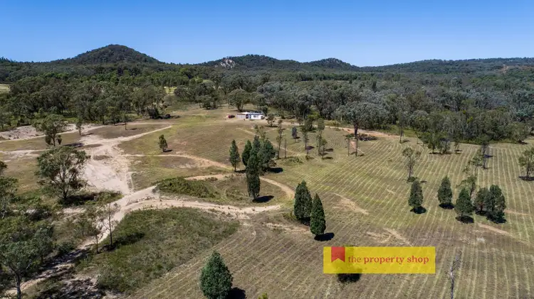 Main view of Homely rural property listing, 2600 Sandy Creek Road, Gulgong NSW 2852