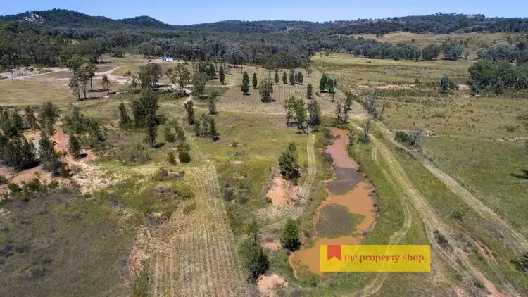 Sixth view of Homely rural property listing, 2600 Sandy Creek Road, Gulgong NSW 2852