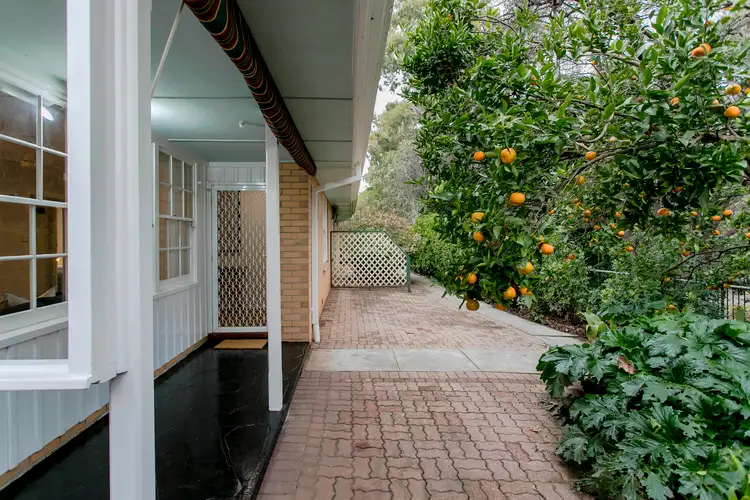Fifth view of Homely unit listing, 3/18A Princes Road, Torrens Park SA 5062