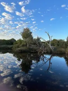 Second view of Homely land listing, Lot 51 North West Coastal Highway, Bowes WA 6535
