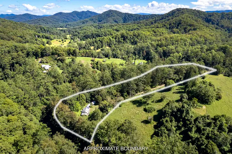 Fourth view of Homely rural property listing, 801 Kalang Road, Bellingen NSW 2454