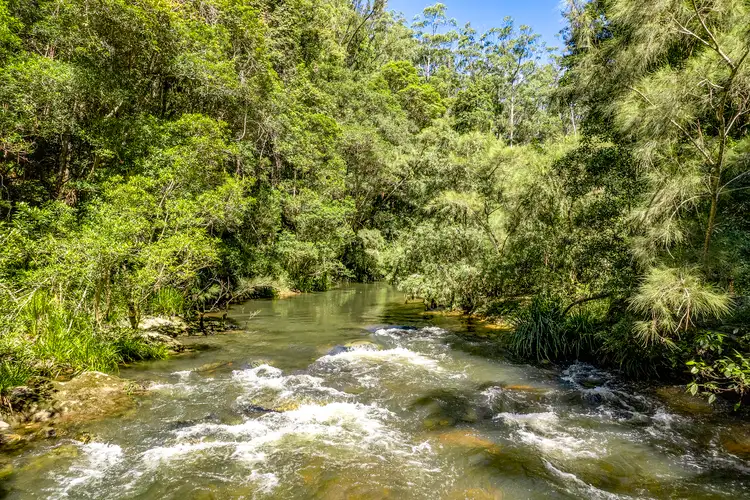 Fifth view of Homely rural property listing, 801 Kalang Road, Bellingen NSW 2454