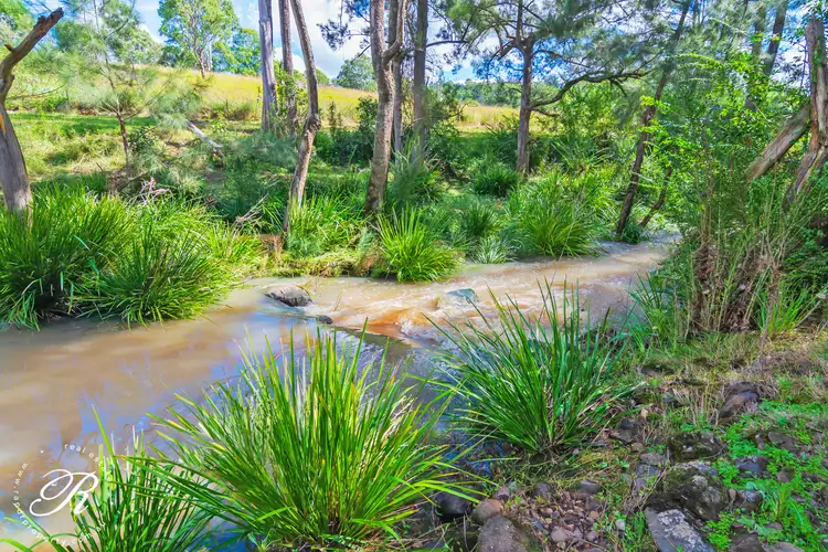 Third view of Homely rural property listing, 390 Belbora Creek Road, Belbora NSW 2422
