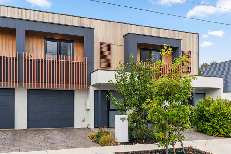 42 Hendrie Street, Morphettville SA 5043