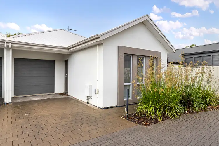 5 Shearing Street, Oaklands Park SA 5046