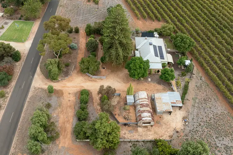 Fourth view of Homely house listing, 181 Edmondson Road, Loxton SA 5333