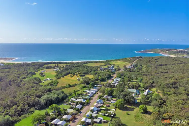 Main view of Homely house listing, 20 Flowers Drive, Catherine Hill Bay NSW 2281