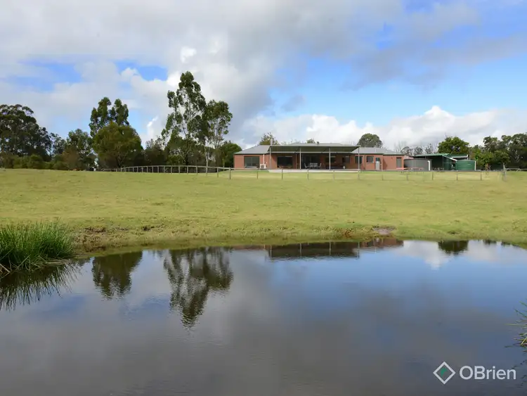 Fourth view of Homely house listing, 475 Boggy Creek Road, Flaggy Creek VIC 3875
