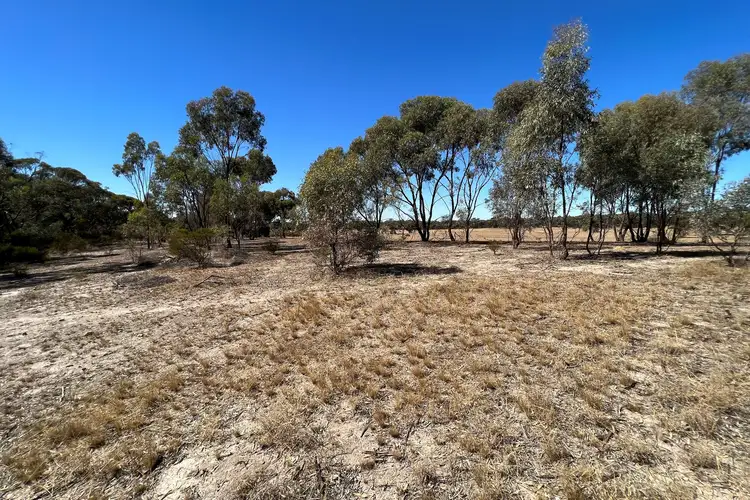 Main view of Homely rural property listing, 70 Eucy Road, Korong Vale VIC 3520