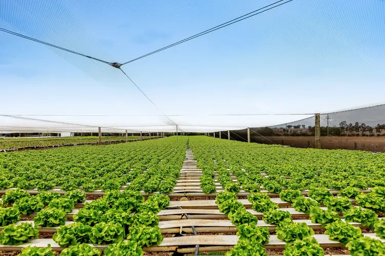 2589 Toowoomba-Cecil Plains Road