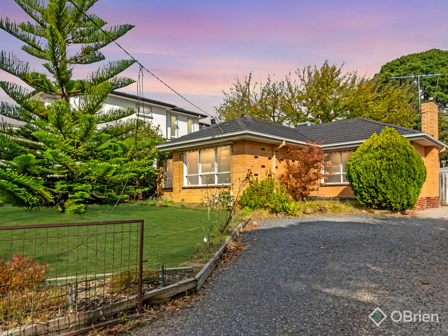 Main view of Homely house listing, 16 Jolimont Road, Forest Hill VIC 3131