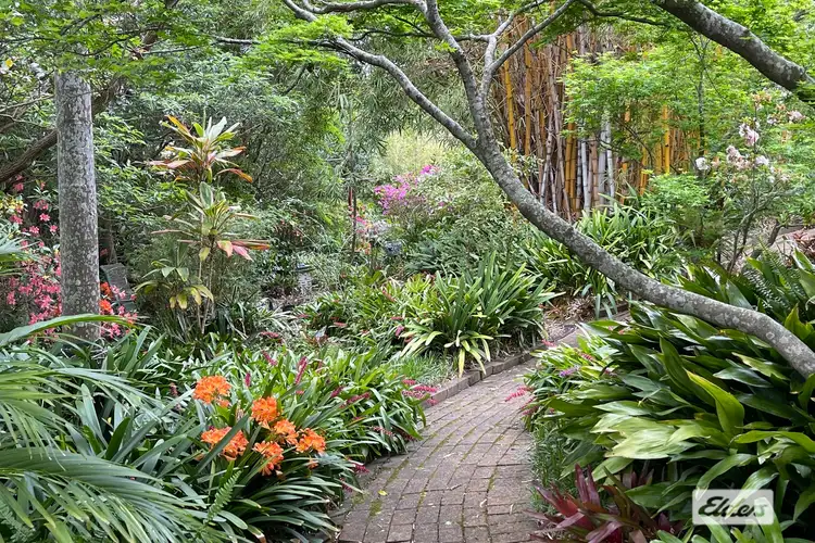 20 Chapel Lane, Jamberoo NSW 2533