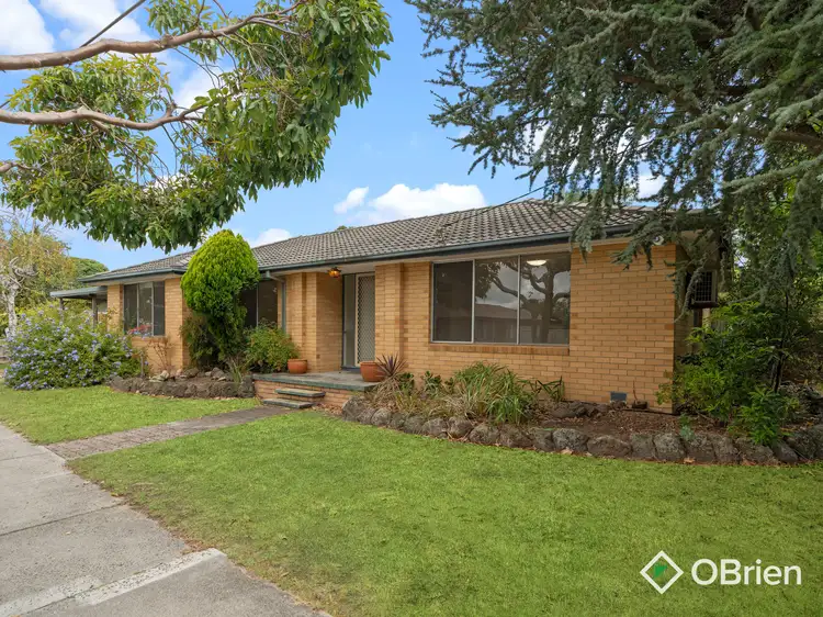 Main view of Homely house listing, 49 Lucerne Crescent, Frankston VIC 3199