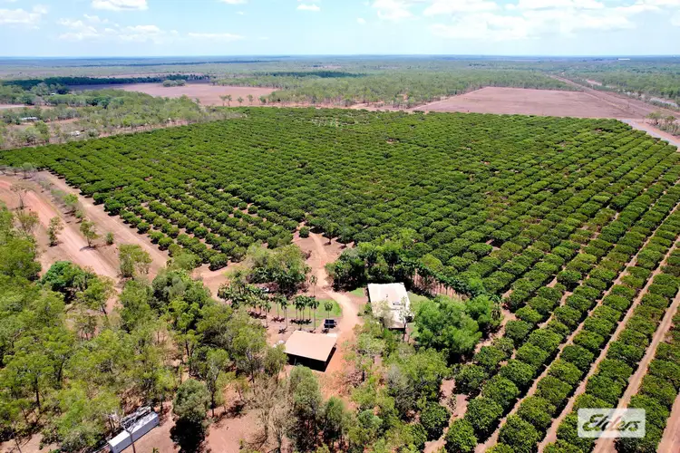 45 Old Bynoe Road, Livingstone NT 822