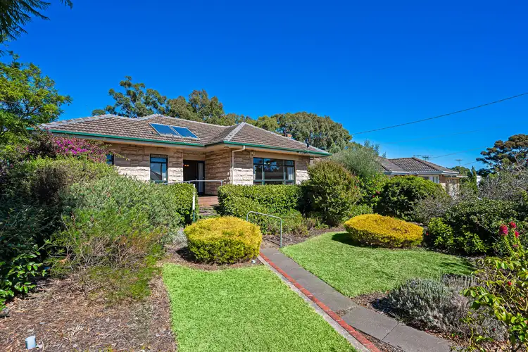 11 Boothby Street, Panorama SA 5041