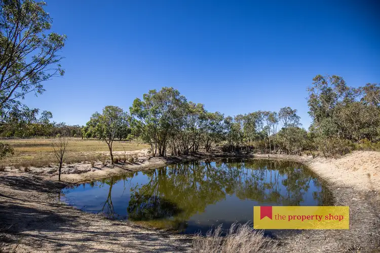 Second view of Homely rural property listing, 1613 Spring Ridge Road, Dunedoo NSW 2844