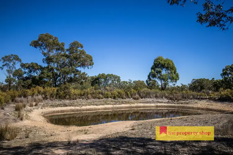 Fifth view of Homely rural property listing, 1613 Spring Ridge Road, Dunedoo NSW 2844