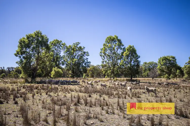 Sixth view of Homely rural property listing, 1613 Spring Ridge Road, Dunedoo NSW 2844