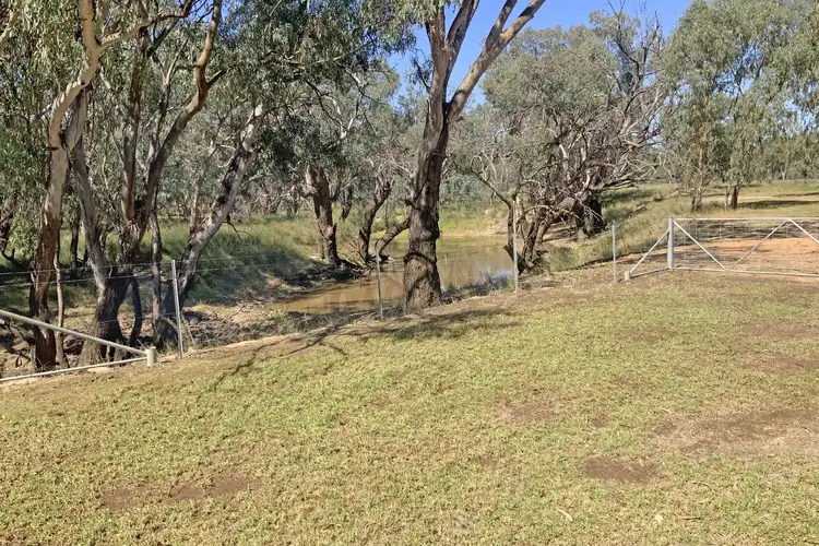 Seventh view of Homely rural property listing, 49 Dawes Crossing, Narromine NSW 2821