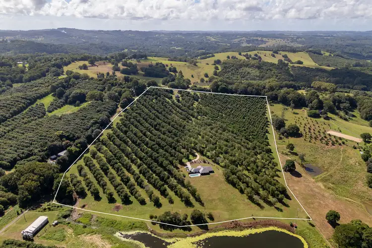 Second view of Homely house listing, 1 Lychee Drive, Rosebank NSW 2480