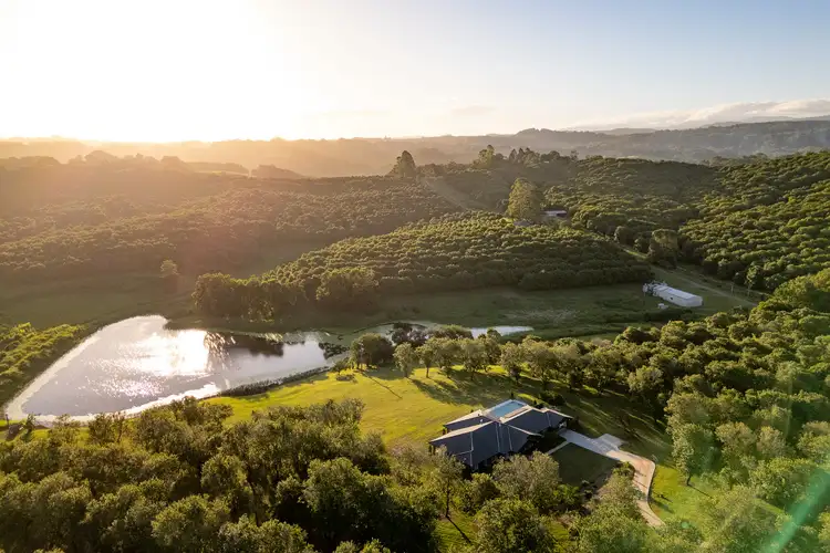 Sixth view of Homely house listing, 1 Lychee Drive, Rosebank NSW 2480