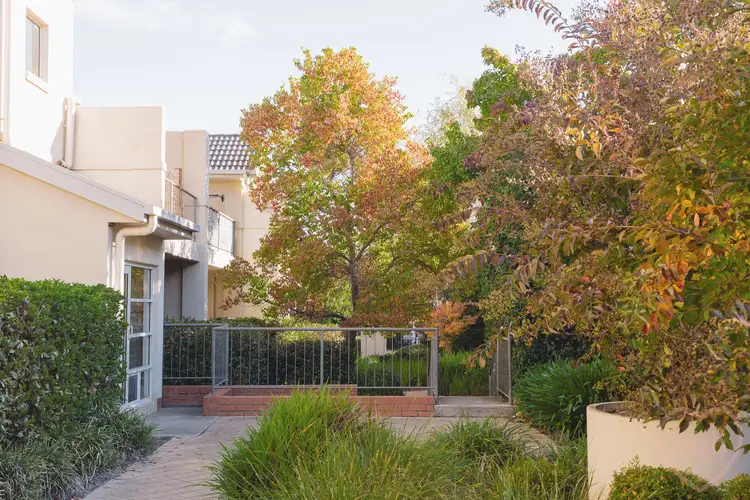 Third view of Homely apartment listing, 86/20 Federal Highway, Watson ACT 2602