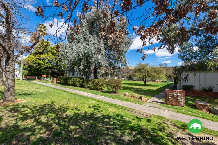 Second view of Homely studio listing, 7/73-75 Collett Street, Queanbeyan NSW 2620