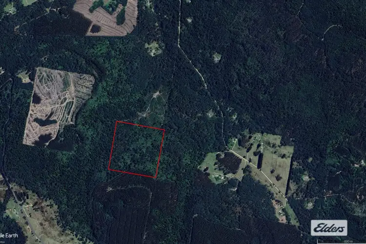 Main view of Homely rural property listing, Bogan Road, Golden Valley TAS 7304
