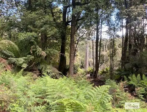 Third view of Homely rural property listing, Bogan Road, Golden Valley TAS 7304