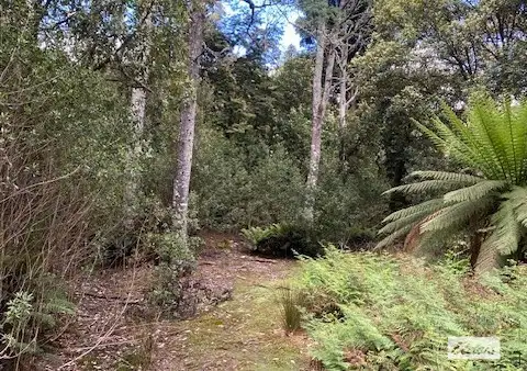 Seventh view of Homely rural property listing, Bogan Road, Golden Valley TAS 7304