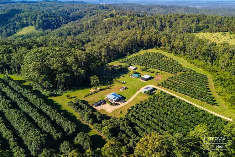 Second view of Homely rural property listing, 64 Baileys Road, Cooperabung NSW 2441