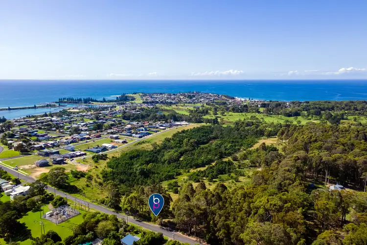Main view of Homely land listing, LOT 304 Nutleys Creek Road, Bermagui NSW 2546