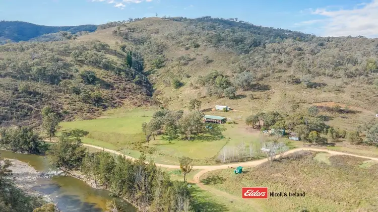 Main view of Homely rural property listing, 3548 The Bridle Track, Bruinbun NSW 2795