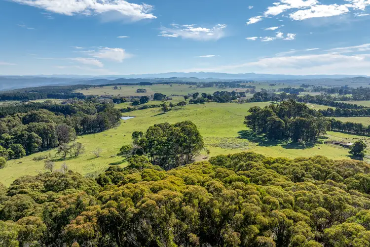 Second view of Homely rural property listing, 65 Sawyers Ridge Road, Reidsdale NSW 2622