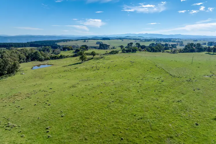 Third view of Homely rural property listing, 65 Sawyers Ridge Road, Reidsdale NSW 2622