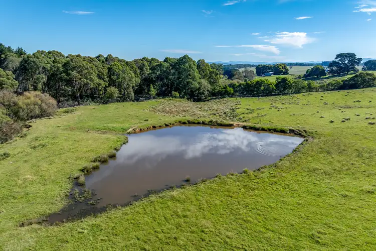 Fourth view of Homely rural property listing, 65 Sawyers Ridge Road, Reidsdale NSW 2622