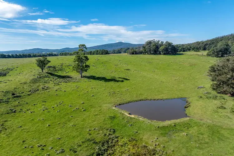 Fifth view of Homely rural property listing, 65 Sawyers Ridge Road, Reidsdale NSW 2622