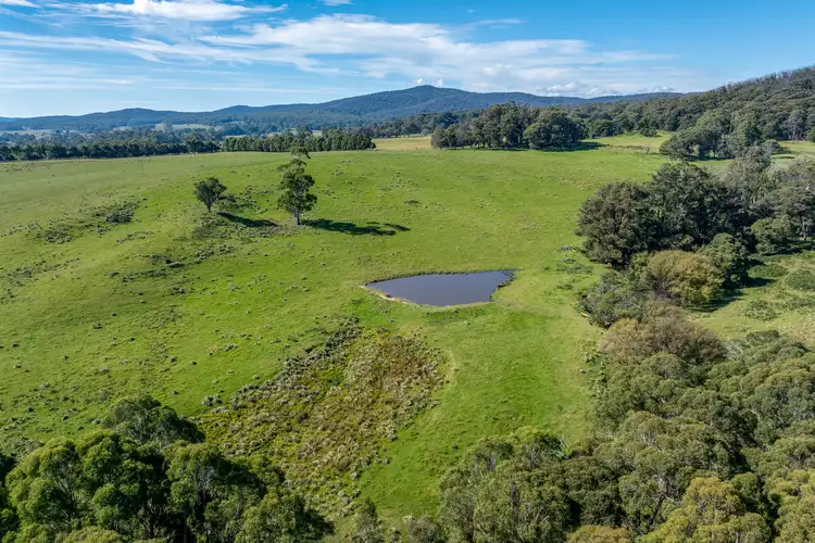 Sixth view of Homely rural property listing, 65 Sawyers Ridge Road, Reidsdale NSW 2622