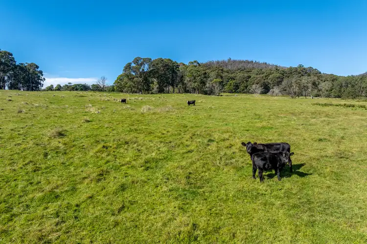 Seventh view of Homely rural property listing, 65 Sawyers Ridge Road, Reidsdale NSW 2622