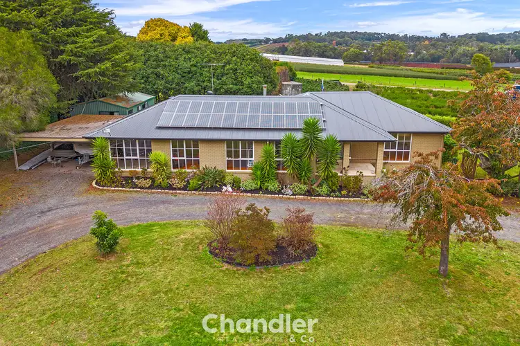 Third view of Homely house listing, 393 Monbulk Road, Monbulk VIC 3793