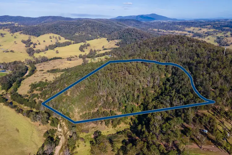 Main view of Homely rural property listing, LOT 21 Cowderoy Street, Cobargo NSW 2550